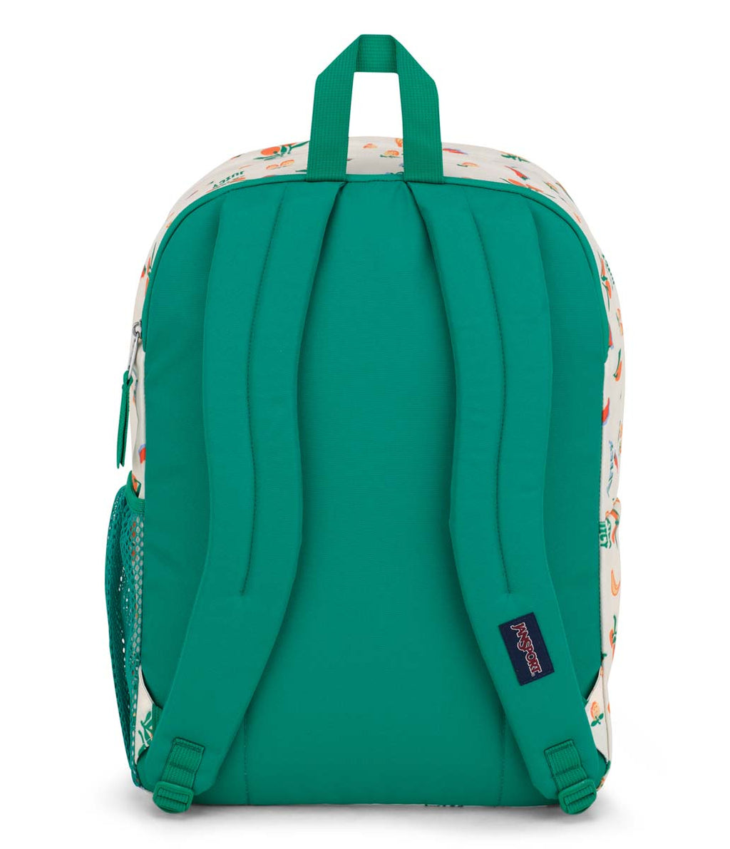 Big Student Backpack